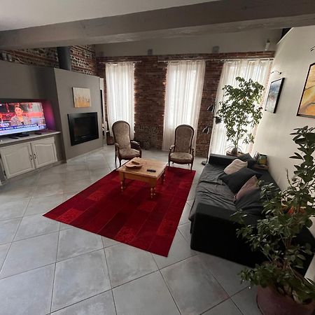Magnifique Maison Toulousaine Toulouse Kültér fotó