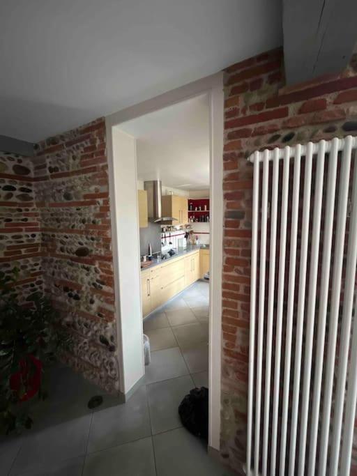 Magnifique Maison Toulousaine Toulouse Kültér fotó