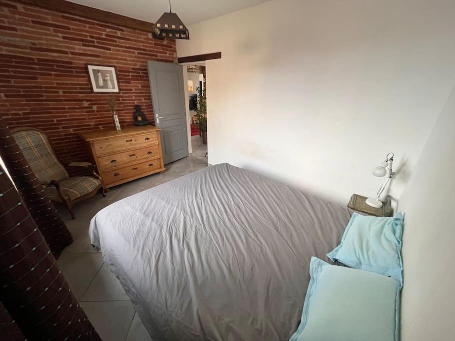 Magnifique Maison Toulousaine Toulouse Kültér fotó