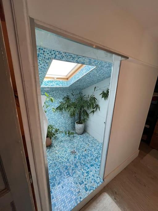 Magnifique Maison Toulousaine Toulouse Kültér fotó
